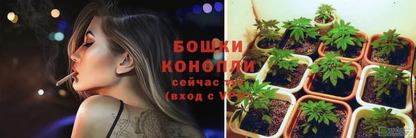 MESCALINE Богданович