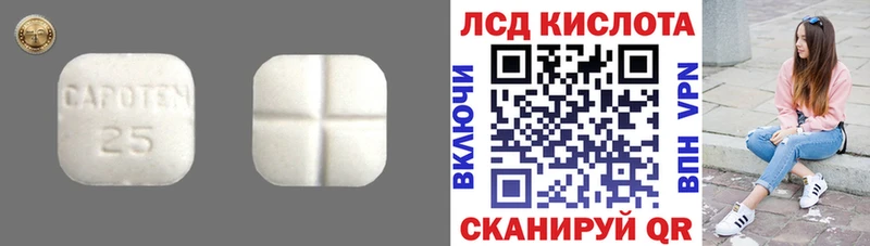 LSD-25 экстази ecstasy  где купить   ОМГ ОМГ ONION  Завитинск 